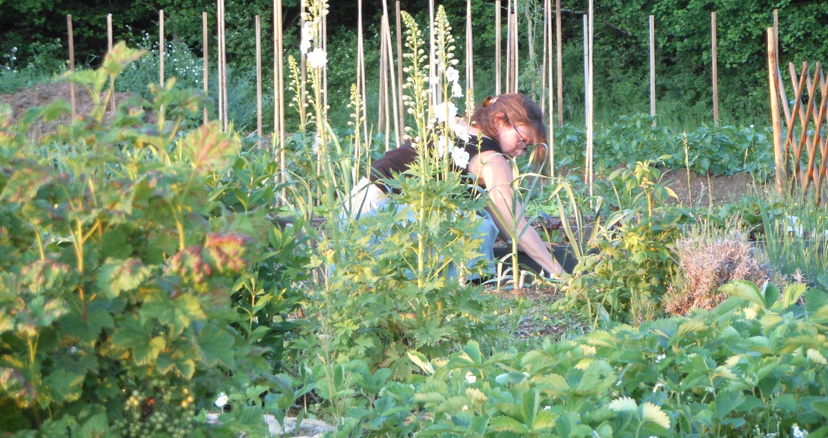 Auberge de la Tuilerie: Du Potager à la Table