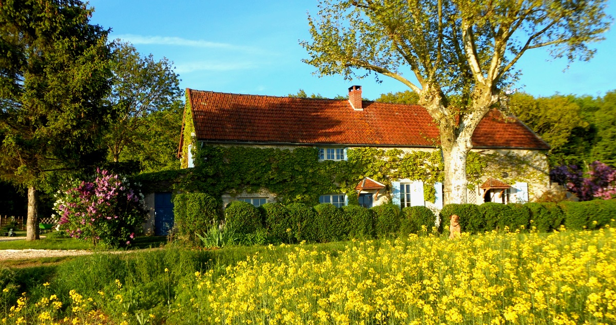 Auberge de la Tuilerie: Vue des Champs