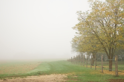 L'auberge de la tuilerie Le brouillard matinal en automne 