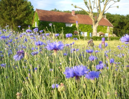 L'auberge de la tuilerie au printemps